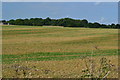 View across farmland beside the road to Overton