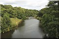 NU2304 : The River Coquet, west of Warkworth by Graham Robson