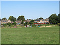 Balsham: allotments