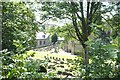 The churchyard at St David