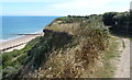 Norfolk Coast Path at Overstrand