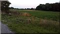 Polsespond Wood and Crop Fields