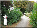 Path by the River Thames near River Park Avenue