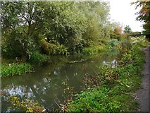 SU0881 : Restored section of Wilts & Berks Canal, Royal Wootton Bassett, Wilts by P L Chadwick
