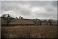 Farmland by the Central Line