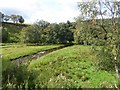 Downstream Conglass Water