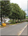 Yellow grit box, Woodlands Drive, Malpas, Newport