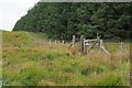 SH8809 : Fence bounding coniferous plantation by Trevor Littlewood