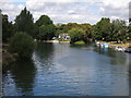 The River Thames between Staines Bridge and Church Island