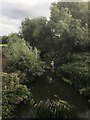 River Ouzel beside Caldecotte Lake