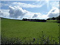 SH6102 : Pasture beside the railway  by John Lucas