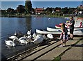 By Thorpeness Meare - feeding the swans