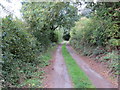 SE4162 : Limebar Bank Road (Track) near Marton by Peter Wood