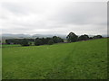 Bridleway towards Sunbiggin