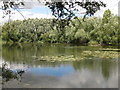 Another one of the Church Lammas Lakes (3)