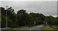 N1163 : Rural Irish Road, Kenagh by N Chadwick
