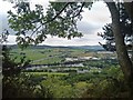 View from lower slopes of  Kinnoull Hill, Perth