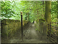 Metal post on Sheriff Lane