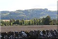 Arable and woods at Drummonie