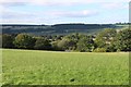 Pasture in Strathallan Estate