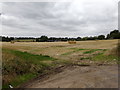 Farmland off the A1124 Colchester Road