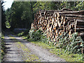 S7636 : Timber Stack by kevin higgins