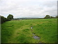 Fields near St Dogwells Farm