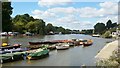 River Thames at Twickenham