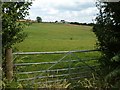 Pasture near Buckwell