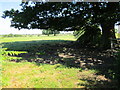 Path across Rookery Farm