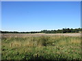 Fields near Wellhill