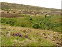 SK1893 : Moorland above Howden Clough by Graham Hogg