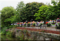 Flowers along Water-Lode, Nantwich