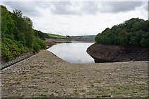 SE1007 : Digley Reservoir by Ian S