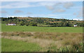 NS6074 : Fields near Back O'Hill Road by Richard Sutcliffe