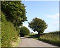 Benton Road, east of Bratton Fleming