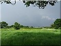 Farmland near Malt Kiln Farm