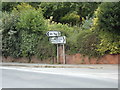 Roadsigns on the A1124 Colchester Road