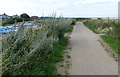 Path at Hartley Links, Seaton Sluice