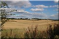 Fields at Upper Froyle