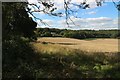 Fields at Upper Froyle