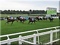 Leicester Racecourse - Inside the final furlong