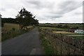 Leygards Lane towards Brow Grains Road