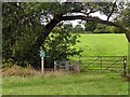 Peak & Northern Footpaths Society sign #211