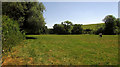 SU0336 : Meadow, Langford Lakes Nature Reserve by Derek Harper