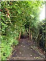 Footpath in Alderley Edge