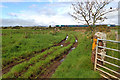 Farm track near Hall Carleton