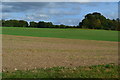 Field north of Norman Court Home Farm