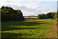 Fields beside West Dean Road