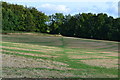 Path across field towards Norman Court